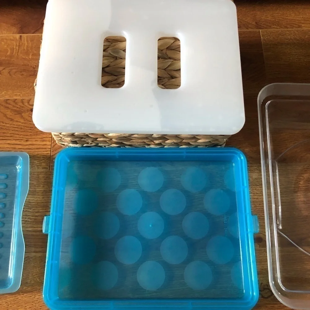 Blue Covered food dish with ice pack